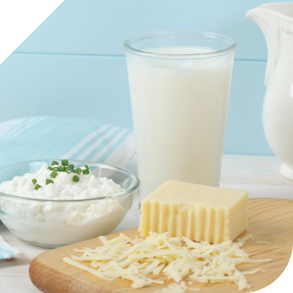 Milk and Dairy Products Supply