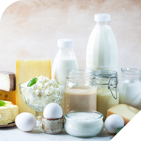 Dairy and Dairy Products Supply