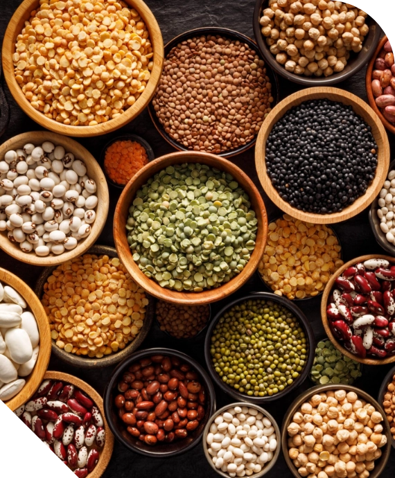 TopALL Ship Supply Co. - Dry Food Supply